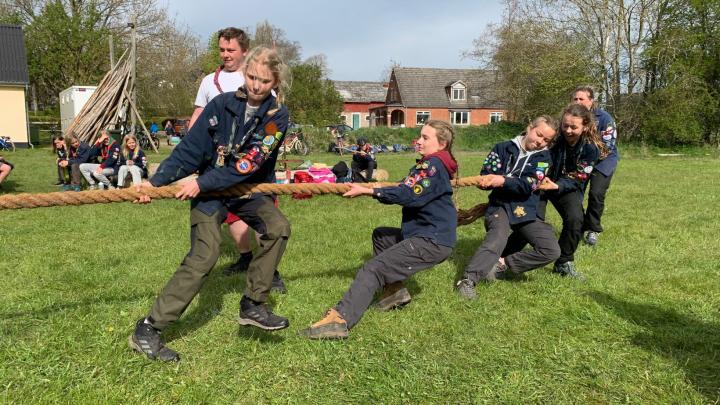 Tovtrækning